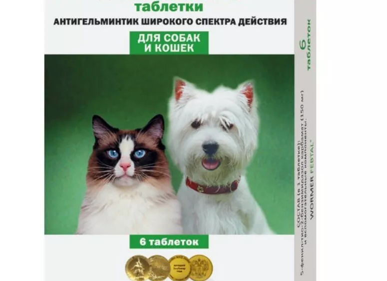 Гельминтоз у кошек и собак: это должен знать каждый владелец!