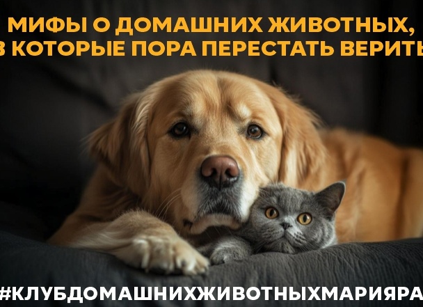 Мифы о домашних животных, в которые не следует верить