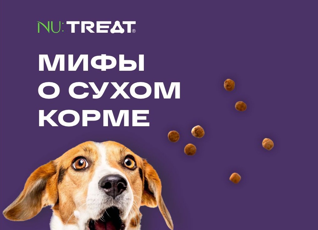 5 распространенных мифов о домашних животных