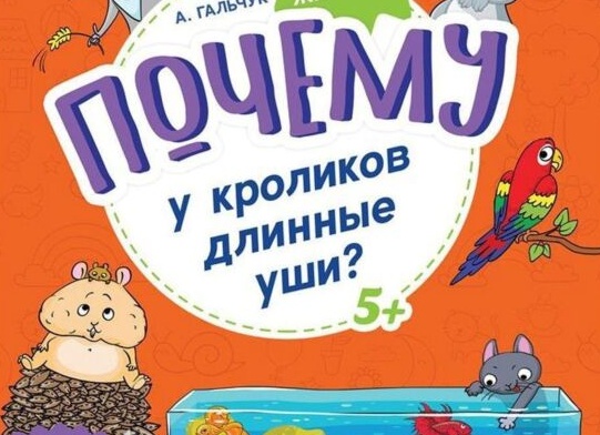 Коротко о домашних животных.