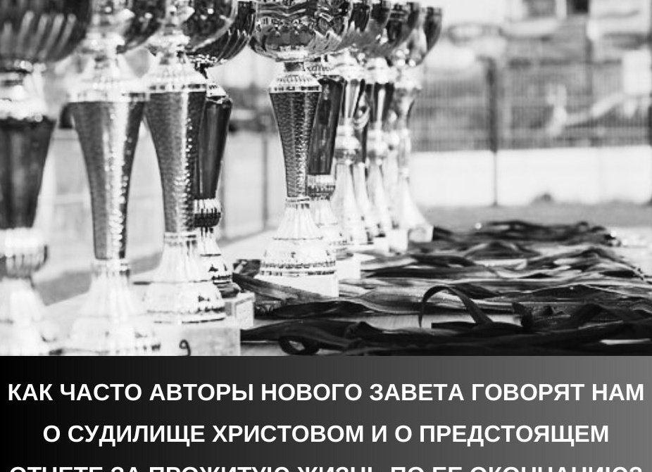 Рассказываем, как часто и как правильно нужно чистить глаза питомцу