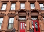 Медузы в качестве домашних животных: модный тренд или необычный выбор?
