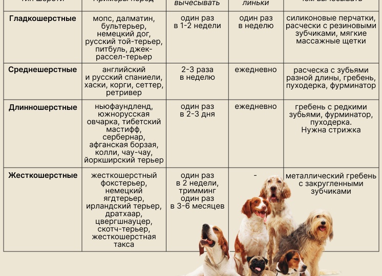 Как вычесывать питомца правильно?