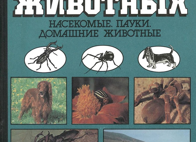 Книги о домашних животных
