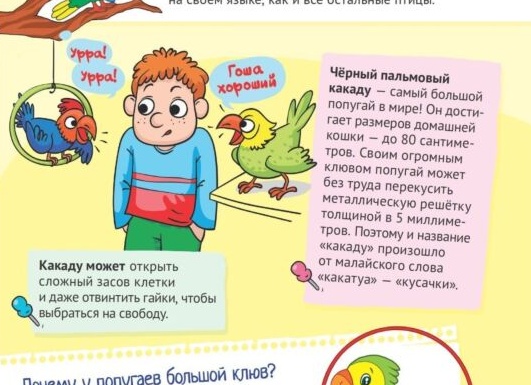 Факты о домашних животных и их владельцах