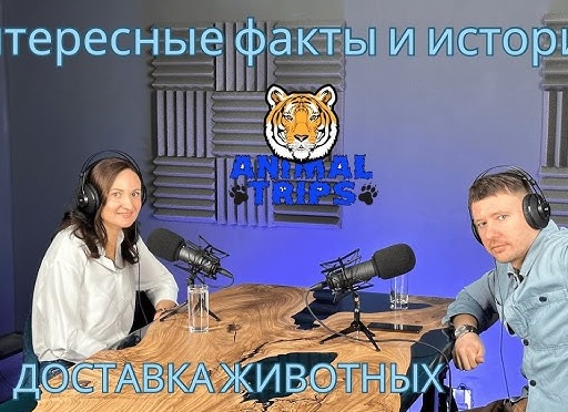ИНТЕРЕСНЫЕ факты о домашних животных + ВИДЕО