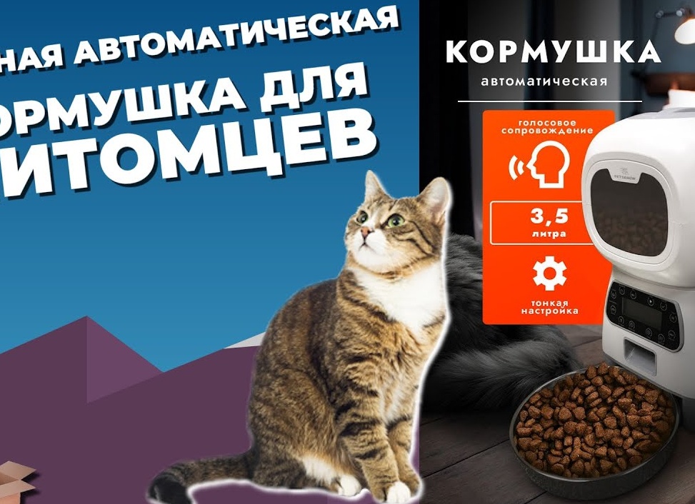 5 советских фильмов о домашних животных, которые я смотрю со слезами на глазах