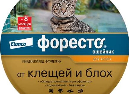 Что лучше защитит от клещей: ошейник, капли или таблетки?