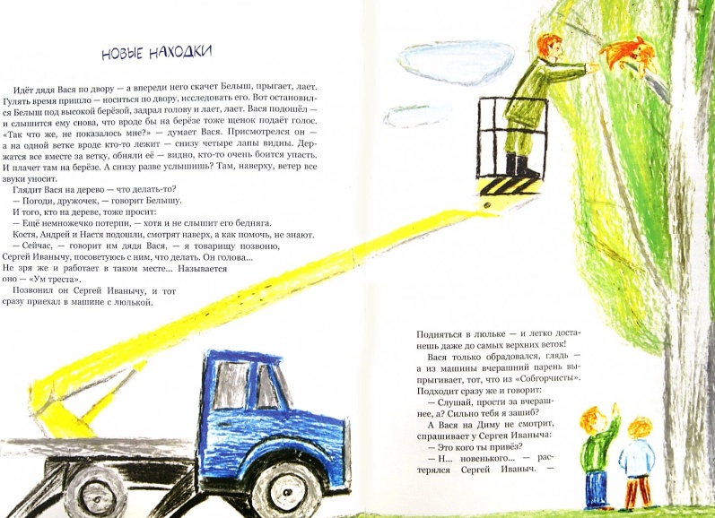 Почему Четыре Лапы - это не только зоомагазин?